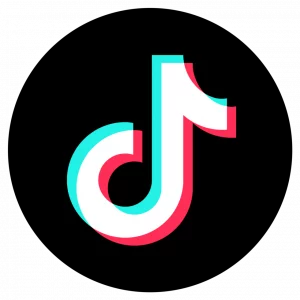 Tiktok Icon Free Png